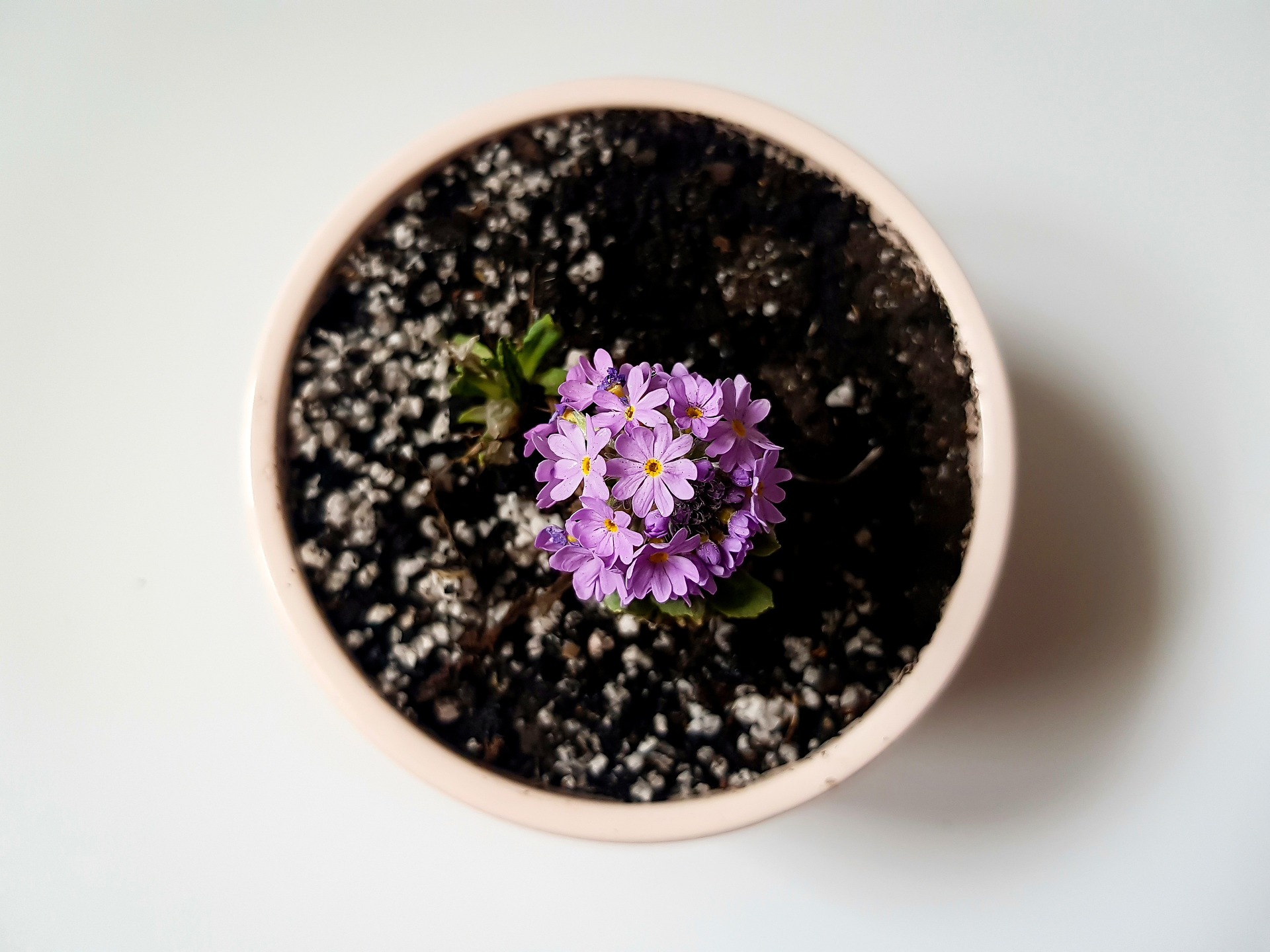 Hadirkan Kehangatan dengan Elemen Alam di Rumah